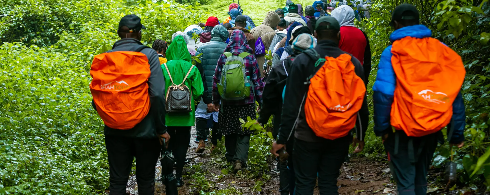 Mt. Kilimanjaro Project