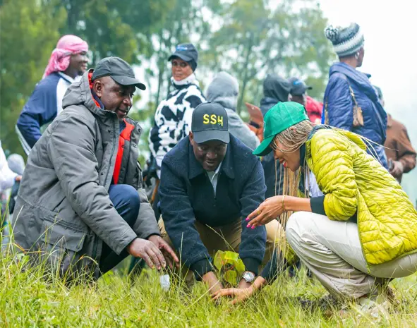 Save Mt. Kilimanjaro Project